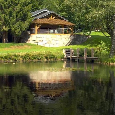 L'Ilet Aux 2 Etangs Villa Saint-Nabord Bagian luar foto