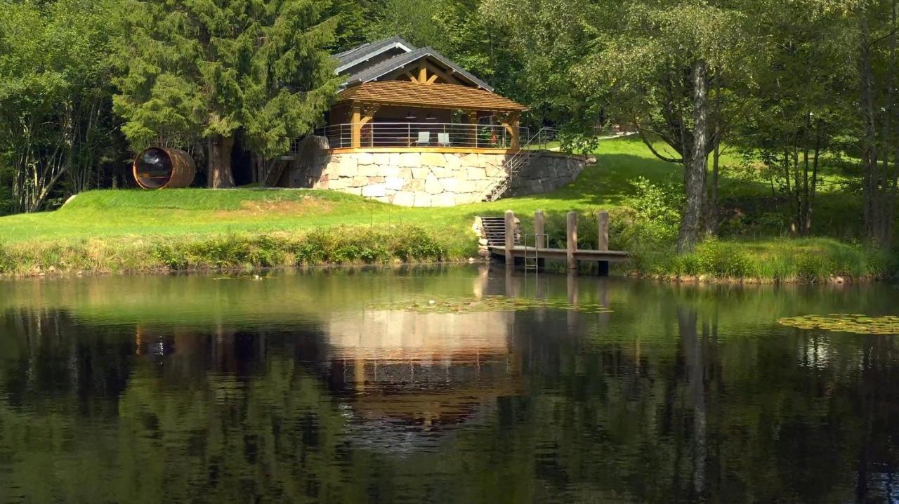 L'Ilet Aux 2 Etangs Villa Saint-Nabord Bagian luar foto