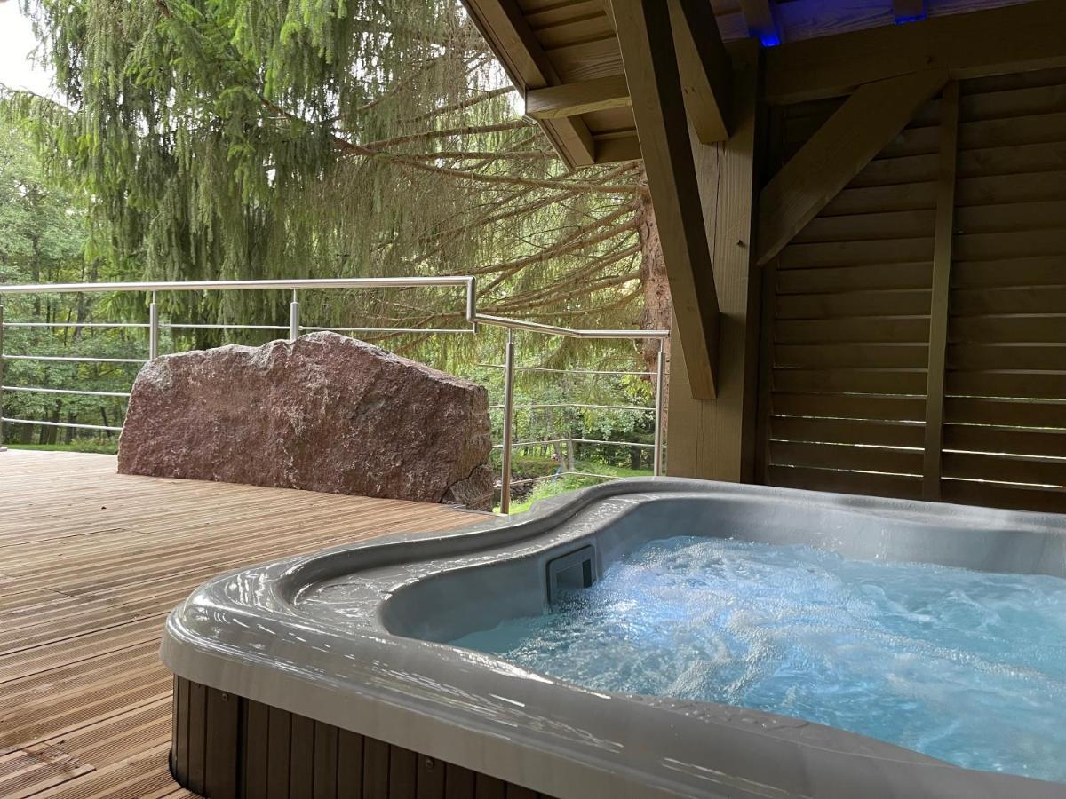 L'Ilet Aux 2 Etangs Villa Saint-Nabord Bagian luar foto